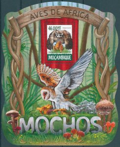 Mozambique 2015 MNH Birds of Prey on Stamps Owls Owl Mushrooms 1v S/S II
