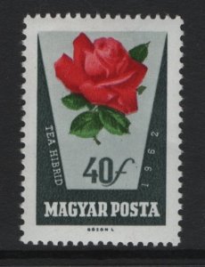 Hungary  #1466   MNH  1962  roses 40f
