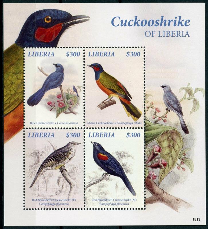 Liberia 2019 MNH Blue Ghana Cuckooshrike 4v M/S Birds Stamps