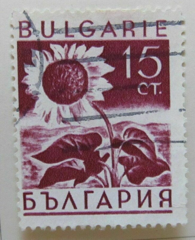 Bulgaria a6p21#127 1938 15s used 