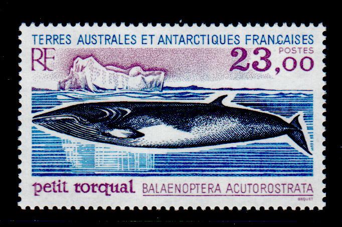 FRENCH SO. ANTARTIC TERR. 208  Mint (ID # 67762)