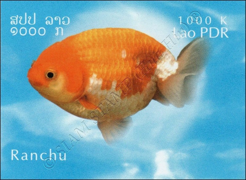 Goldfish Breeds -IMPERFORATE- (MNH)