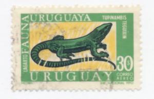 Uruguay 1970 Scott C362 used - 20p, Common Tegu, lizard