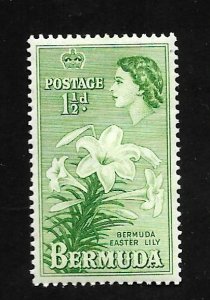 Bermuda 1953 - M - Scott #145