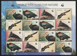 Lesotho WWF Southern Bald Ibis Birds Sheetlet of 4 sets 2004 MNH