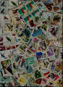 Worldwide used/mint lot Birds/ 840+