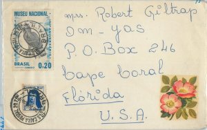 75745 - BRAZIL - Postal History - COVER to the USA 1968 - Birds of PREY