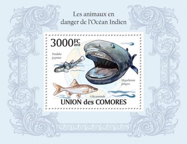 COMORES 2010 SHEET ENDANGERED ANIMALS INDIAN OCEAN FISHES MARINE LIFE cm10108b