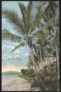 Hawaii USA 1923 Used Postcard Territory Territorial Cover 109056