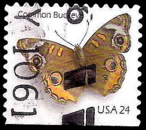 # 4001a USED COMMON BUCKEYE BUTTERFLY