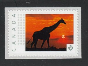 lq. GIRAFFE= SUNSET = Picture Postage stamp Canada 2014 [p72wl10/4]