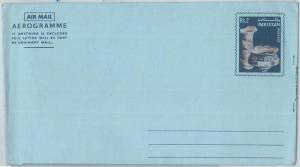 72920 - PAKISTAN - Postal History - Postal Stationery AEROGRAMME - ARCHEOLOGY 