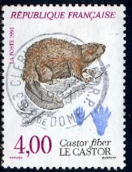 Eurasian Beaver, Castor Fiber, France stamp SC#2263 used