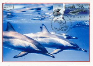 ISRAEL 2013 FAUNA COMMON BOTTLENOSE DOLPHIN LABEL MACHINE # 1 MAXIMUM CARD