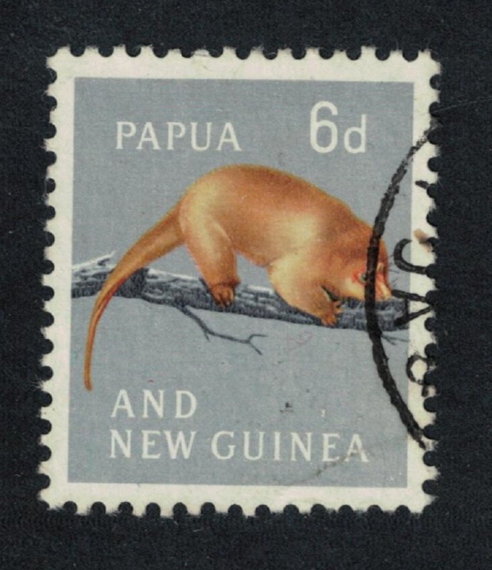 Papua NG Common Phalanger Marsupial 6d 1963 Canc SG#43
