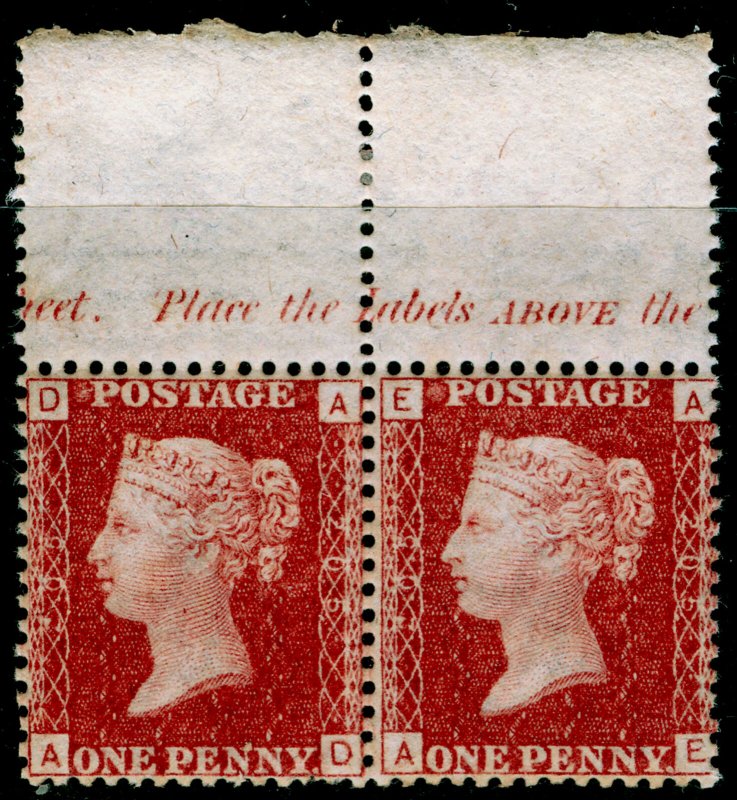 SG44, 1d lake-red plate 205, NH MINT. MARGINAL INSCRIPTION. PAIR. AD AE