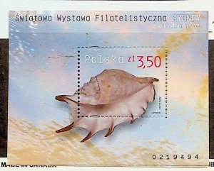 POLAND Sc 3774 NH ISSUE OF 2005 - SOUVENIR SHEET - SEA SHELLS