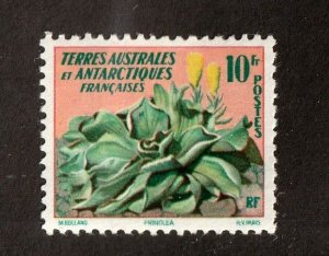 F.S.A.T.        11        MH OG