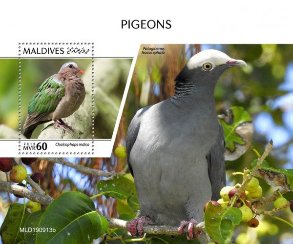 MALDIVES - 2019 - Pigeons - Perf Souv Sheet - MNH