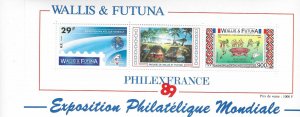 Wallis & Futuna #383-384a  S/Sheet of 2 (MNH) CV $25.00