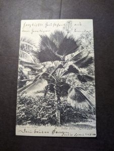 1906 Trinidad RPPC Postcard Cover Port of Spain to Rudolstadt Thuringen Germany