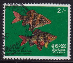 Sri Lanka - 1972 - Scott #476 - used - Fish