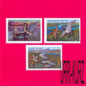 RUSSIA 1992 Nature Fauna Water Birds Ducks 3v Sc6090-6092 Mi254-256 MNH