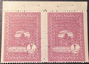 EGYIPT. Strip 2 LABELS AID FOR PALESTINE. 1948. NEW. No gummed. 2G