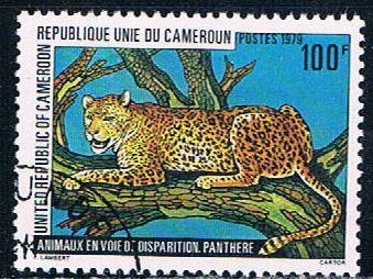 Cameroun 657 Used Leopard 1979 (C0257)+