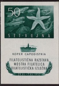 Trieste-Yugoslavia #65a *Minor Fault* ~JM-3070