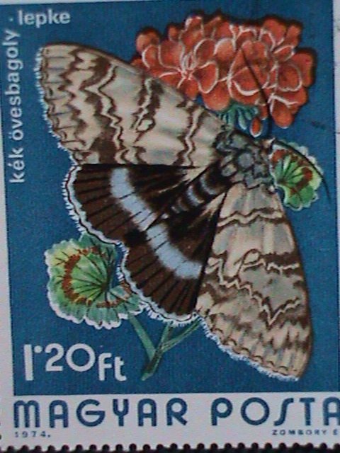 HUNGARY STAMP- COLORFUL BEAUTIFUL LOVELY BUTTERFLY JUMBO LARGE CTO STAMPS-VF