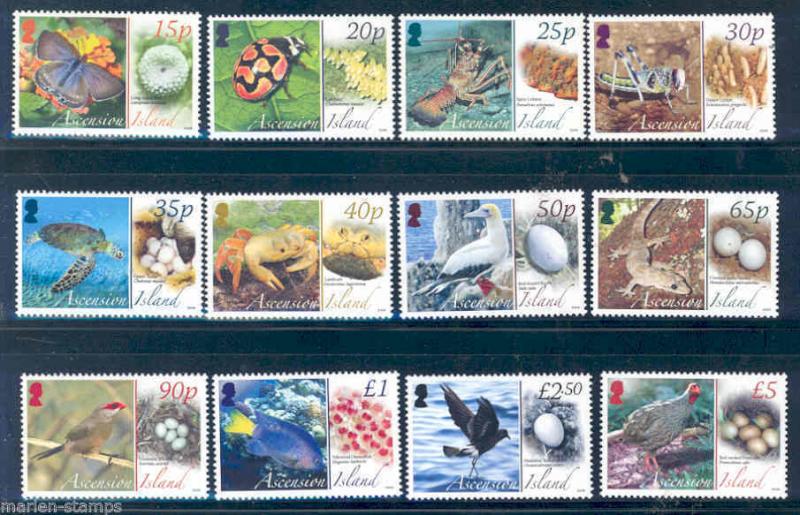 ASCENSION ISLAND ANIMALS AND THEIR EGGS DEFINITIVE SET OF 12 BUTTERFLY FISH BIRD