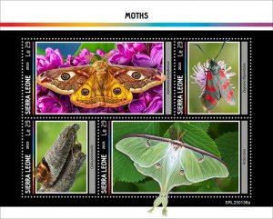 SIERRA LEONE - 2023 - Moths - Perf 4v Sheet - Mint Never Hinged