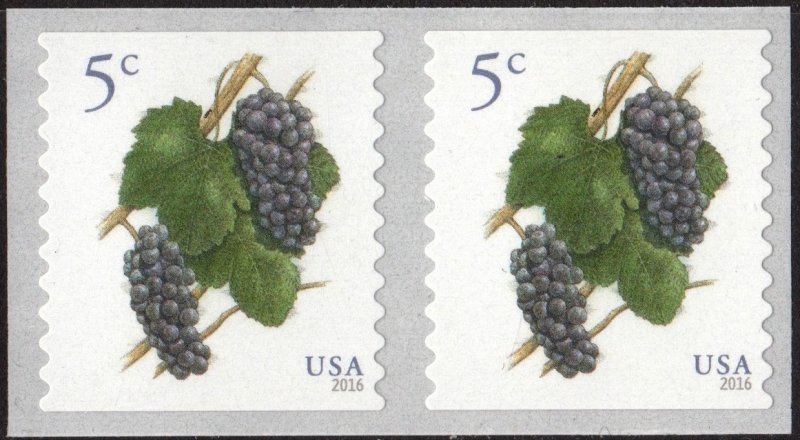 SC#5038 5¢ Grapes Coil Pair (2016) SA