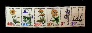 Poland Sc 1511-6 MNH Set of 1967 - Flowers