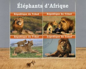 Chad Wild Animals Stamps 2020 CTO Lions Big Cats Mammals Fauna 4v M/S