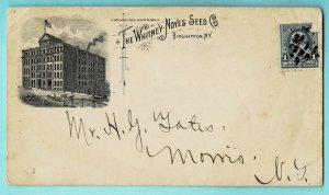 Binghamton, N Y - 1895 - Whitney Noyes Seed Co - nicely illustrated over