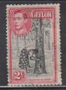 Ceylon 278 Tapping Rubber Trees 1944