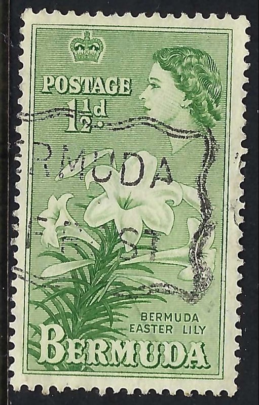 Bermuda 145 VFU FLOWER 720B-10