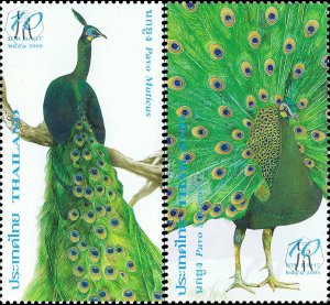 2008 -Thailand - Peacock