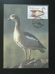 bird duck maximum card Venda 86210