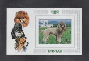 Bhutan Scott #149N S/Sheet Imperf MNH