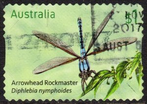 AUSTRALIA 2017 DRAGON FLIES