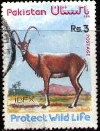 Wild Sheep of Punjab, Wildlife Protection, Pakistan SC#394 used