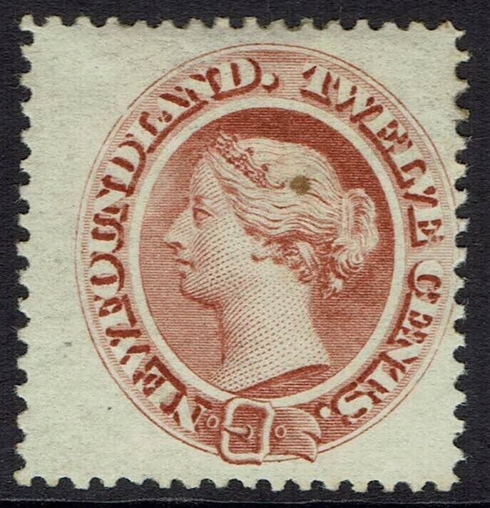 NEWFOUNDLAND 1865 QV 12C