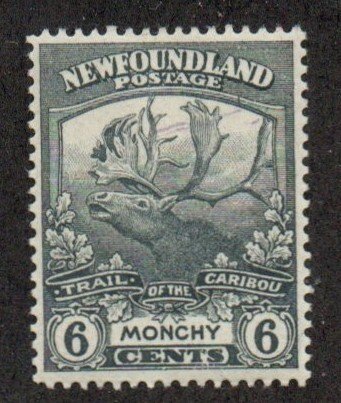 Newfoundland 120 Mint hinged