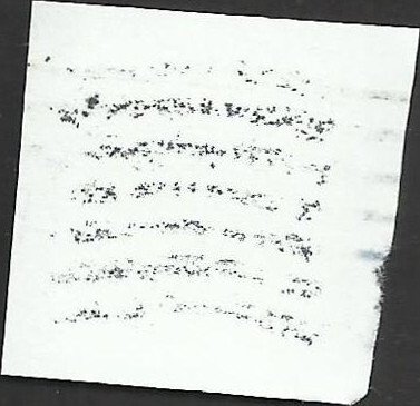 # 5164 Used Pacific Calico Scallop Shell