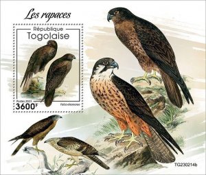 2024 04 - TOGO - BIRDS OF PREY             1V  complet set    MNH **