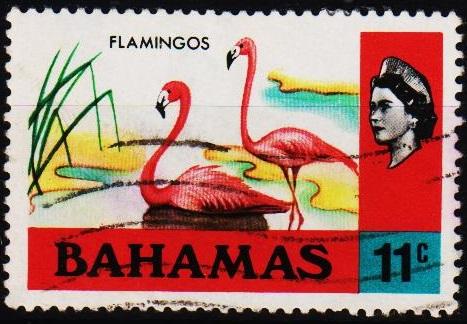 Bahamas. 1971 11c S.G.368 Fine Used