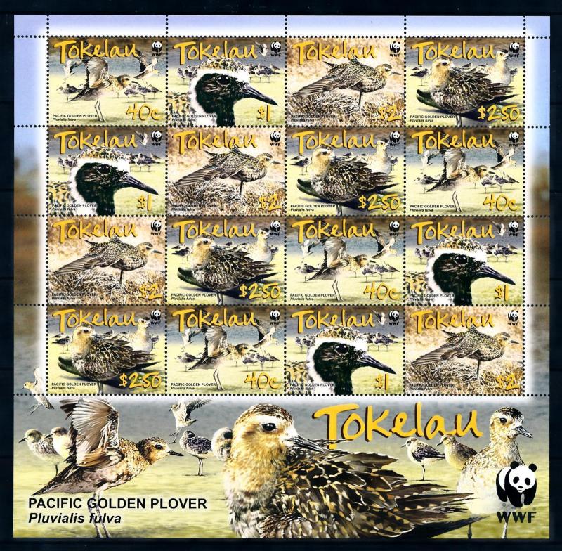 [94607] Tokelau 2007 Birds Vögel Oiseaux Pacific Golden Plover WWF Sheet MNH